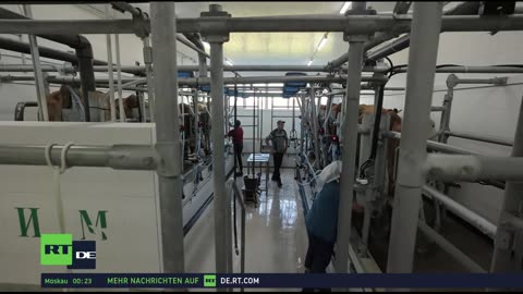 RT DE LIVE-TV