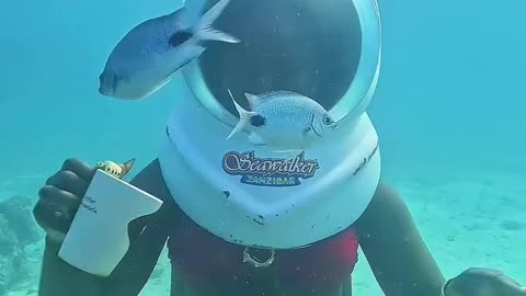 “She Broke the Internet With Her Looks 😳✨ Watch This!”