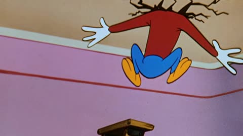 Woody Woodpecker and Friends - 1953x09 - Belle Boys