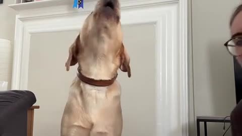 😂 Ladies and Gentlemen, the Next Billy Joel! | FunFM