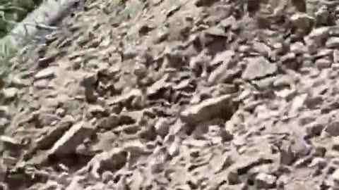 At least 13 people were killed and 98 others injured after an Interoceánico train derailed