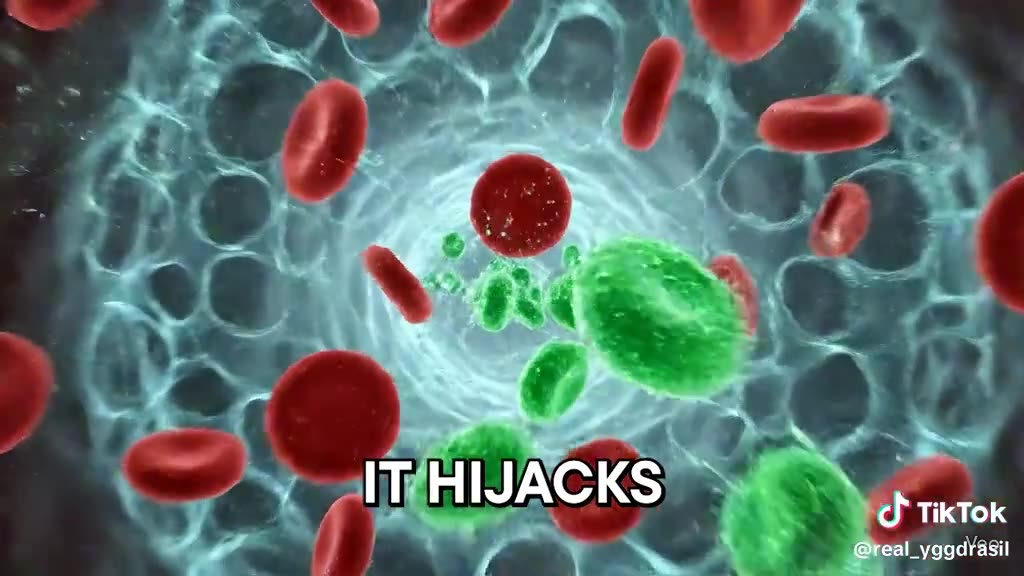 This is what happens when you eat Magic Mushrooms