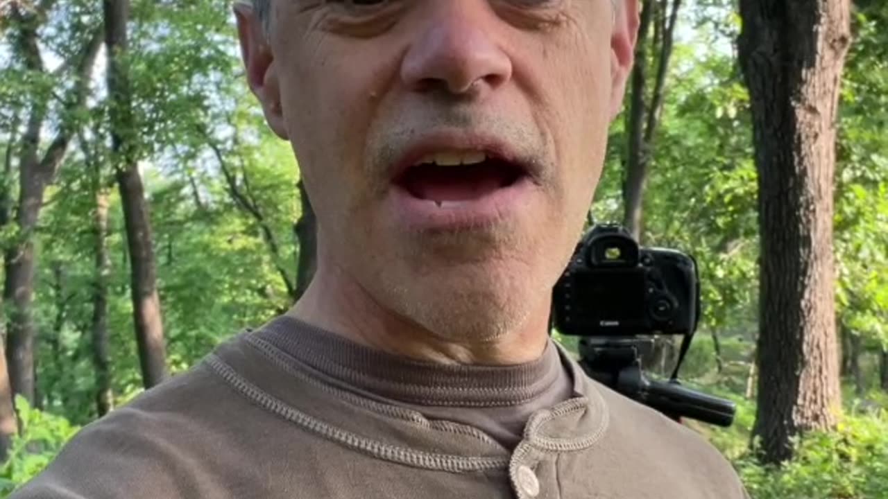 Ten Quick Tips to Improve Your Photography Shorts, Tip Number One: Rule of Thirds