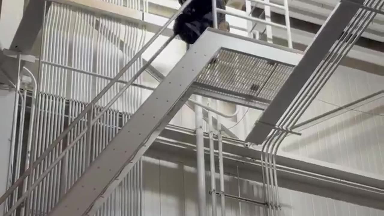 Snipers were seen taking to the roof at President Trump's Michigan rally.