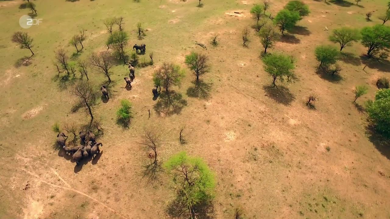 Das Traumschiff Afrika Madikwe