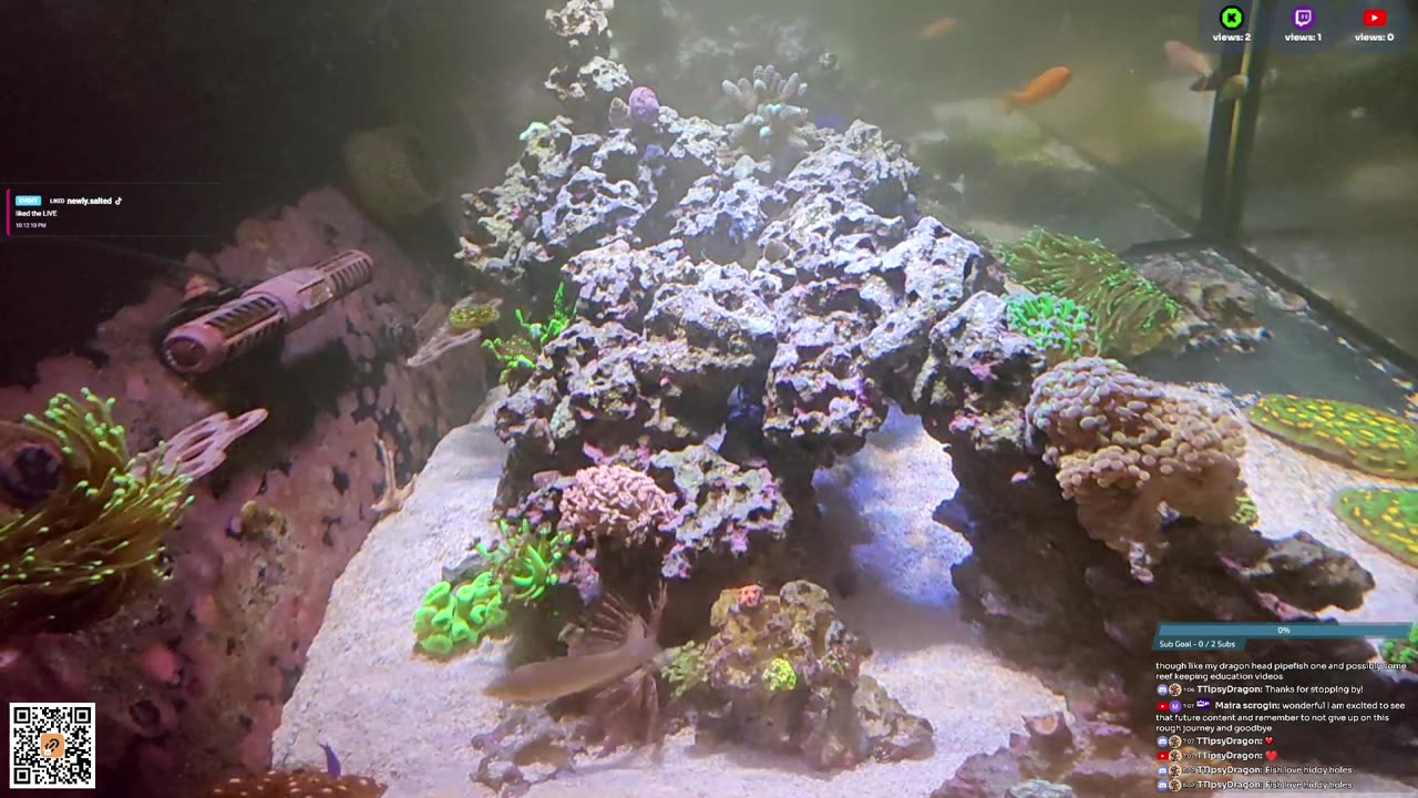 24/7 Real Live Reef Stream