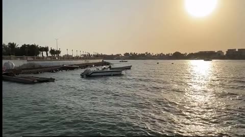 Daily Horoscope | Cancer 🌟