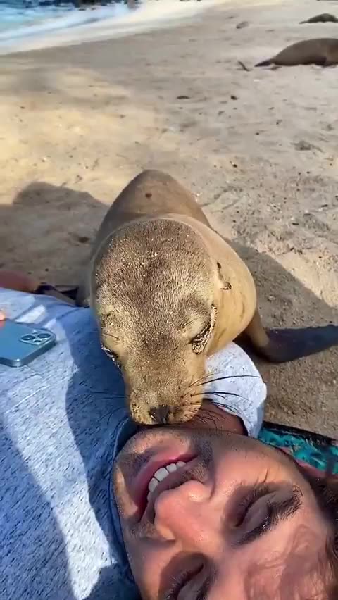 Secluded beaches the brochure said 🤣