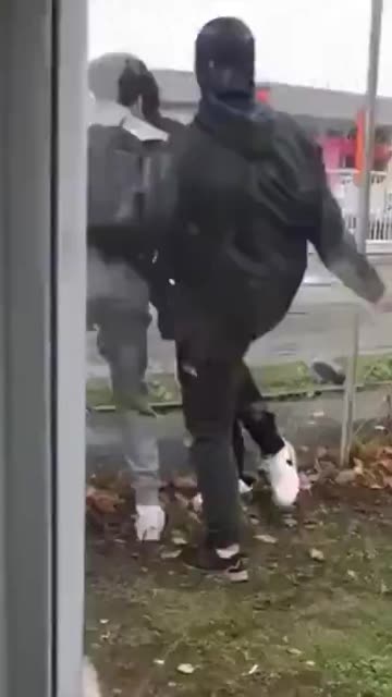 North African immigrants beat up a disabled French boy. Intolerable.