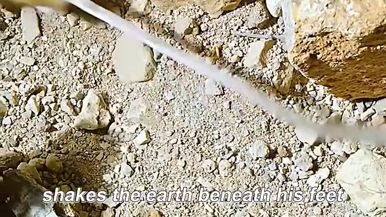 A mouse set a trap