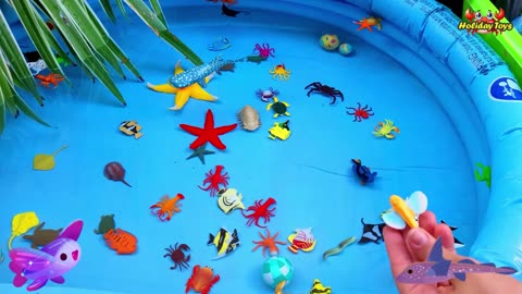 Clownfish Falls from Slide Into Water Inside the House