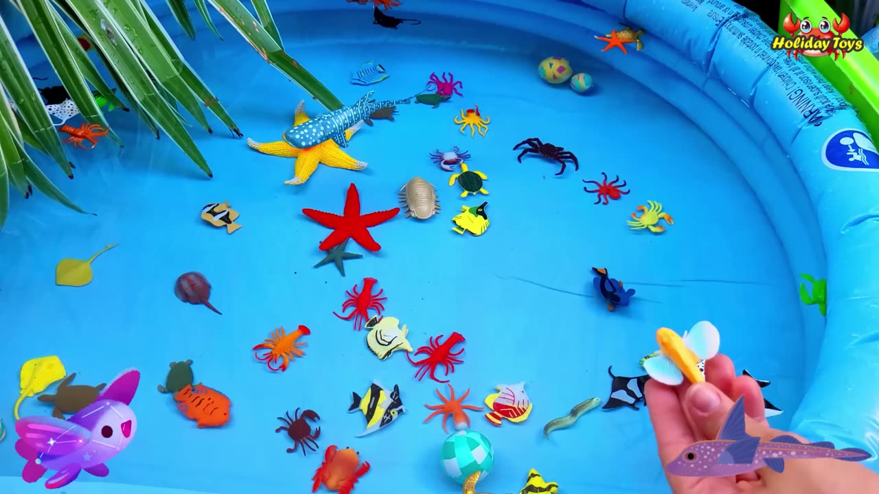 Clownfish Falls from Slide Into Water Inside the House