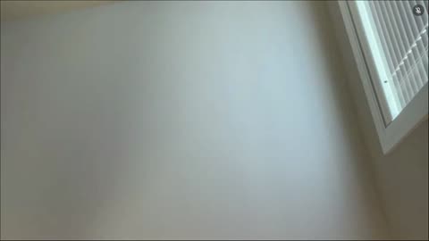 Test 1219