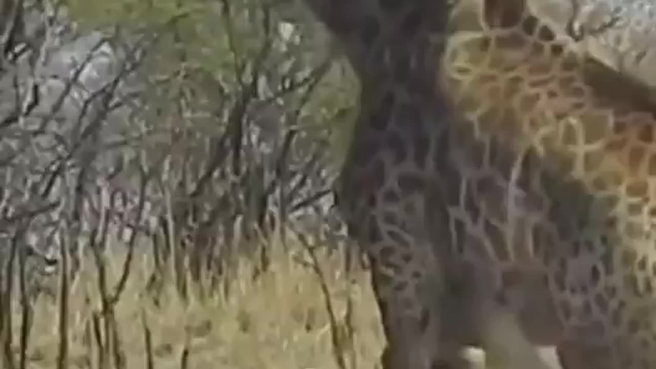 Dragged Down