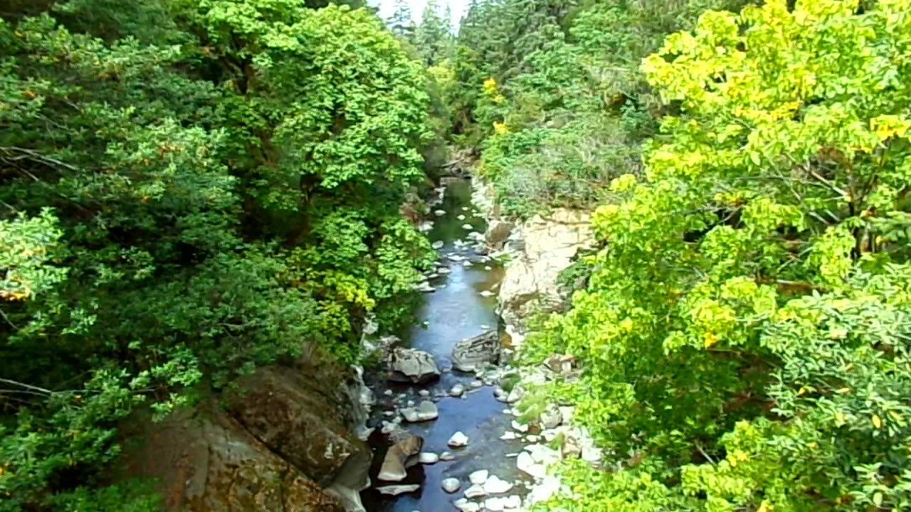 Stopped to take another look 8/6/25: