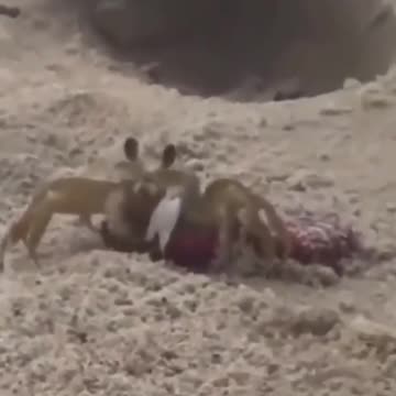 Sharing some cervesa with the locals