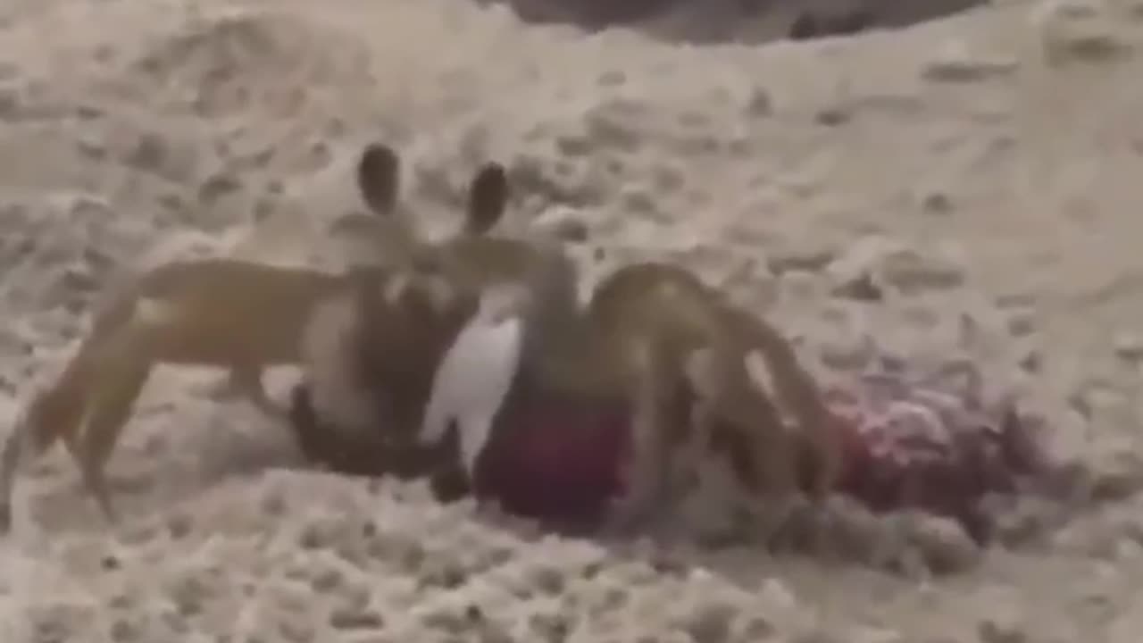 Sharing some cervesa with the locals