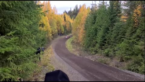 Secto Rally Finland 2021: Thrills, Speed, and Epic Battles in the Finnish Forests