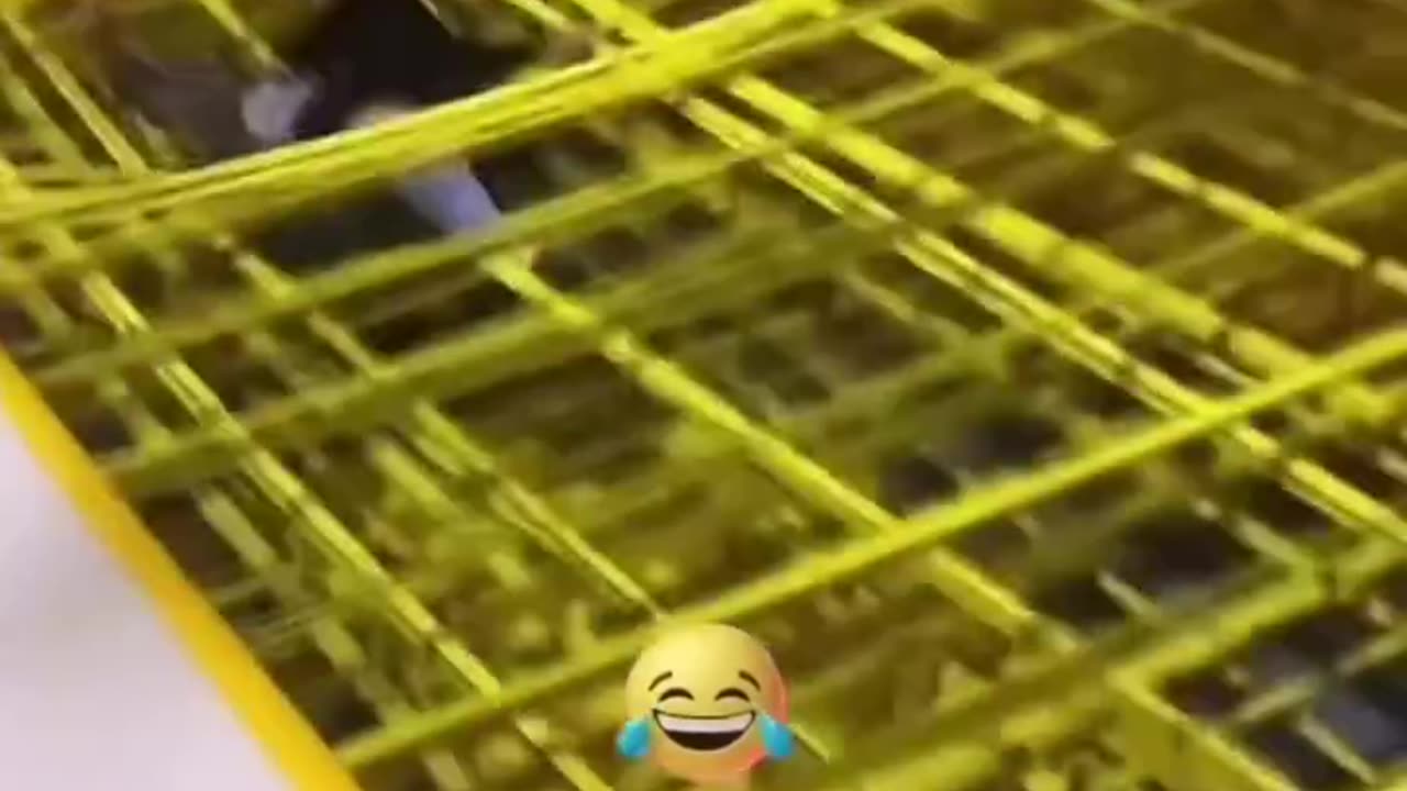 The End 😂😂😂 Funniest Short Fail Ever