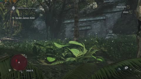 assassins creed black flag