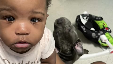 Best friends for ever