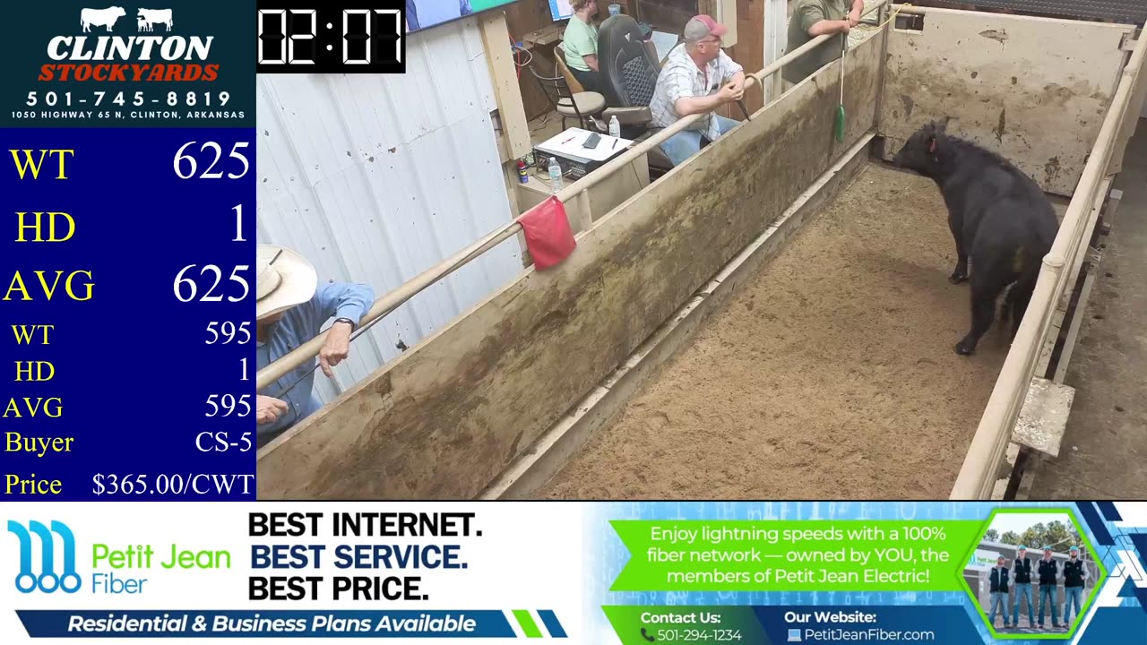 8/2/2025 - Cattle Auction - Clinton Stockyards