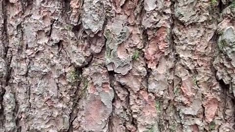 Matrix - Je vais te dire pourquoi tu es là