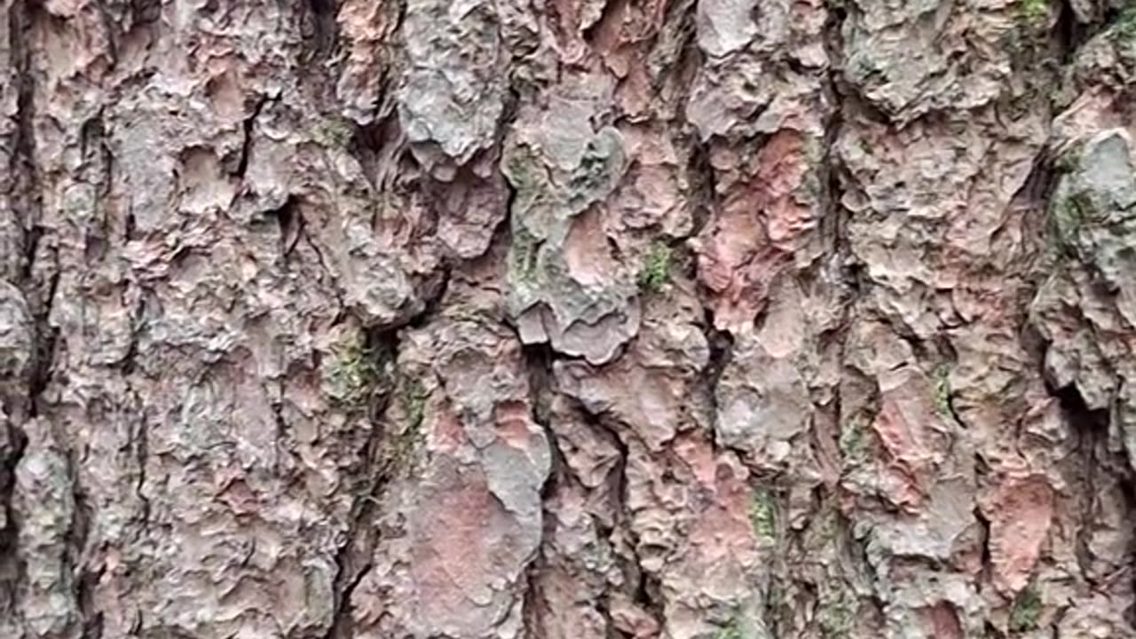 Matrix - Je vais te dire pourquoi tu es là