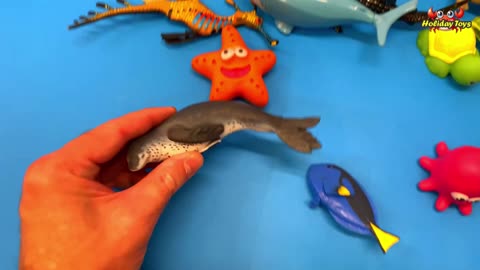 Red Lobster Clamps Into Sea animal Buried in Blue Sand