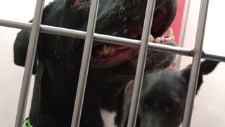 VID_20250917_174726944