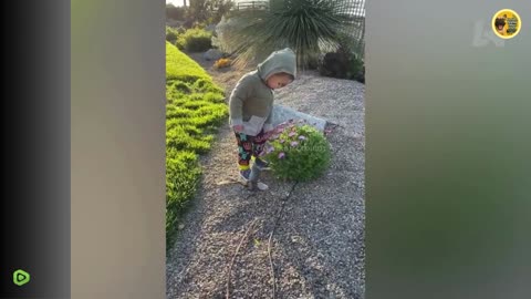 🤣 Crazy Funny Fails You Need to See | Try Not to Laugh 2025 Compilation 😂 | GoViralComedy