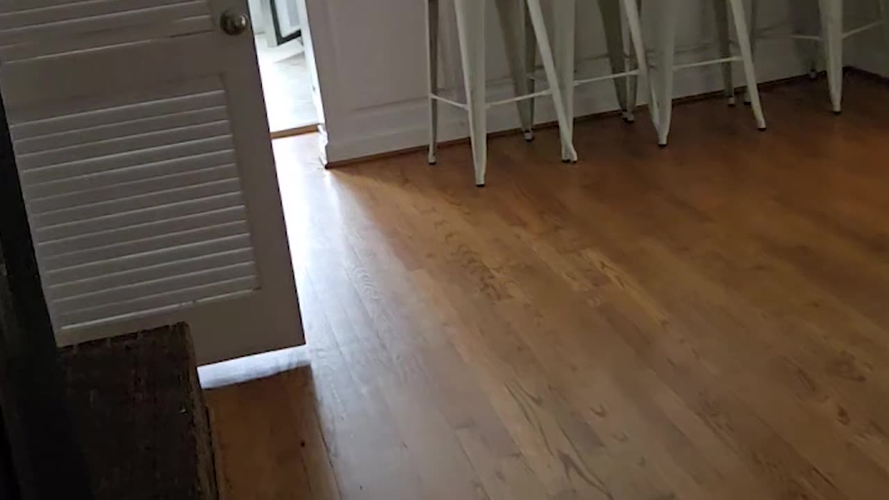 Eviction Served, Tenants Gone 💥 | What Did They Leave Behind?