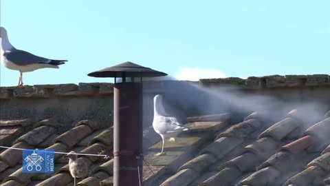 White Smoke = new Pope selected