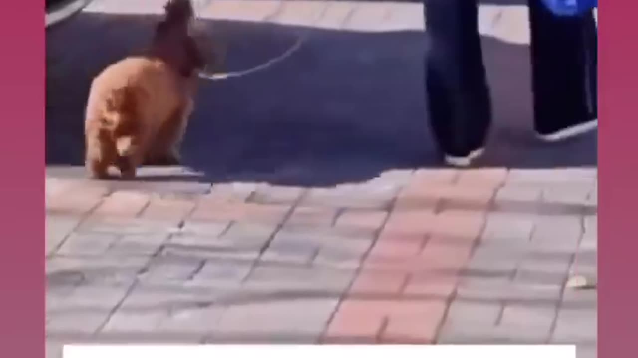 From shelter walls to open trails