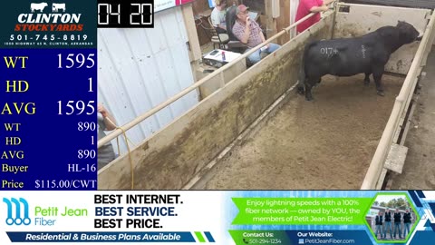 8/9/2025 - Cattle Auction - Clinton Stockyards