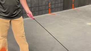 Sig P320 Independent Testing