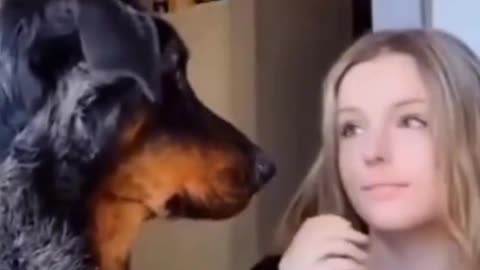 everybody needs a dog