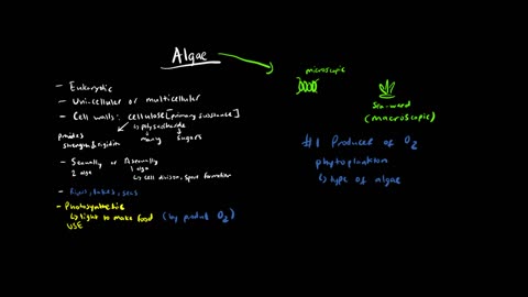 A Quick Overview of Algae
