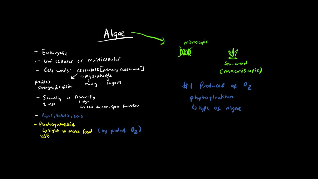 A Quick Overview of Algae