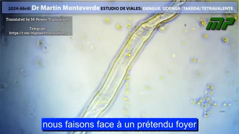 Interview à la radio argentine "Entre Ríos" avec le Dr Martín Monteverde
