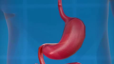 What Is A Tapeworm?