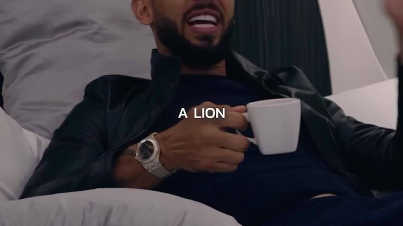 🗣️: The Andrew Tate Lion Attitude #andrewtate #tristantate #tatebrothers #millionaire
