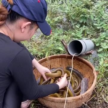 Unbelievable Fish Trap System With An Unique Oil Fishing Technique