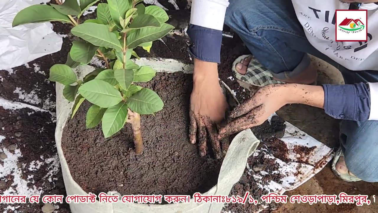 আধুনিক ছাদ বাগানের জন্য সেরা সমাধান – Geo Grow Bag 🌿