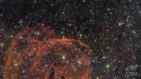 Genesis Science Report