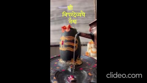 How to perform pooja on shivling