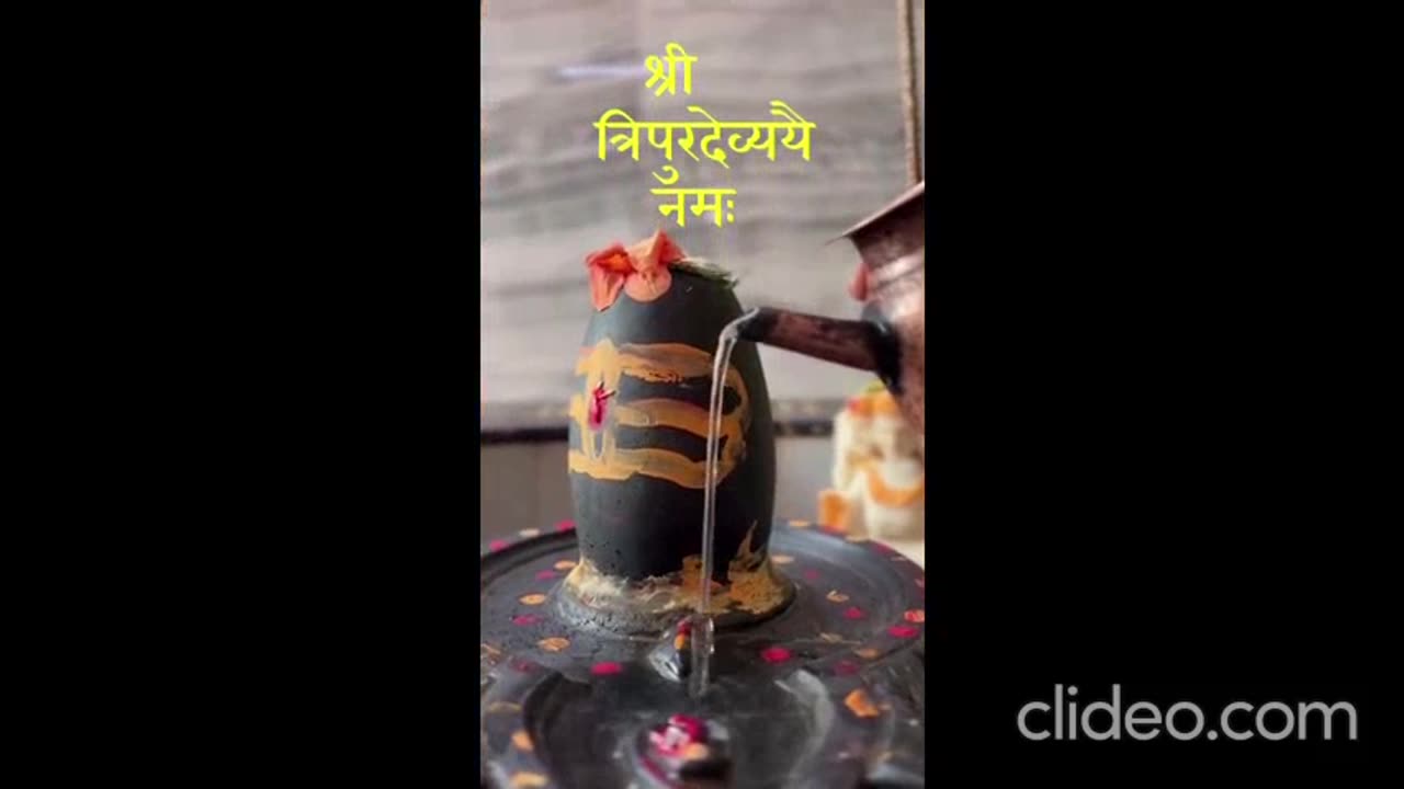 How to perform pooja on shivling