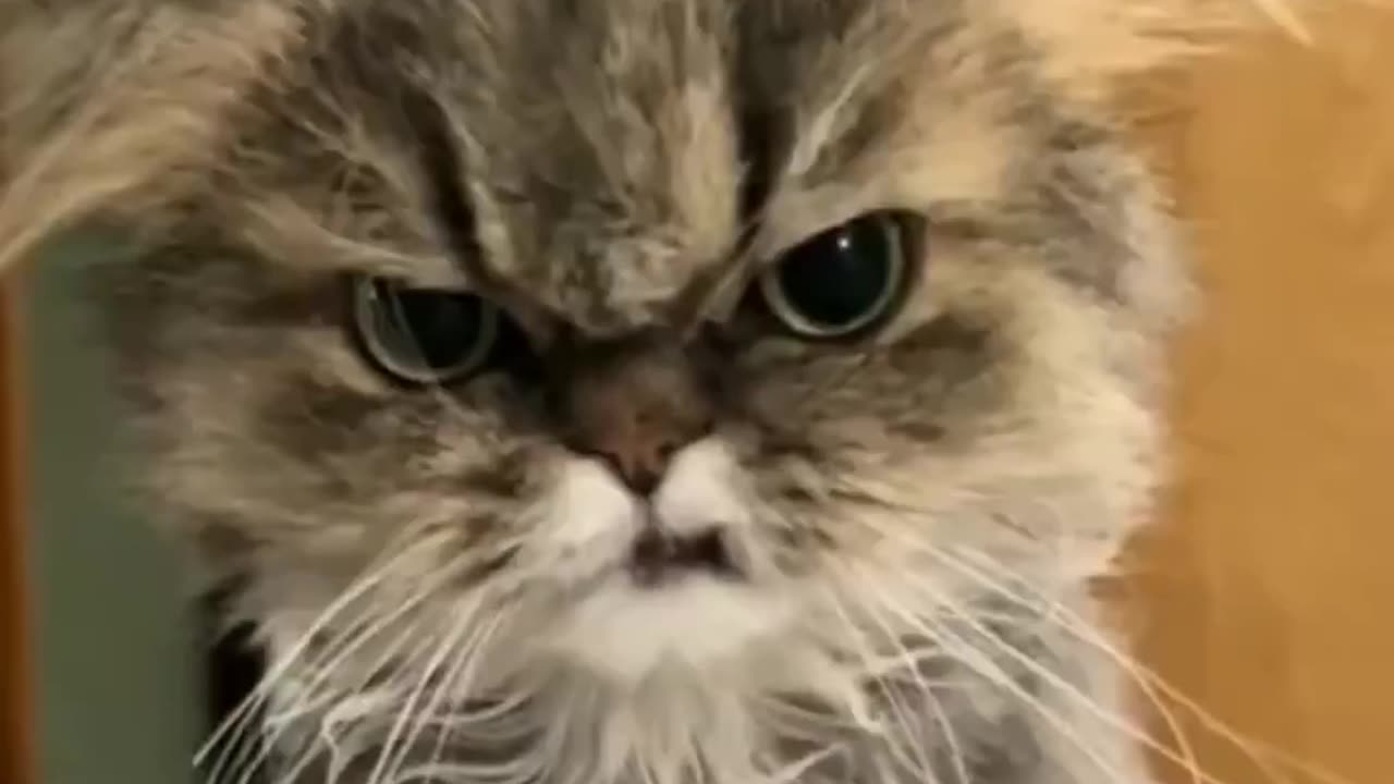 That face.. 😅