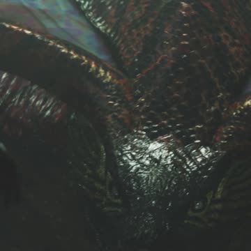 monster hunter wilds