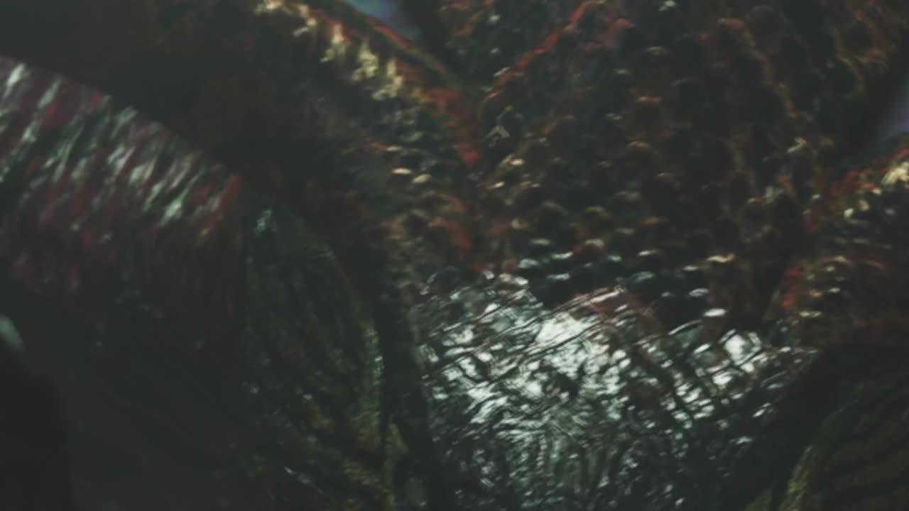 monster hunter wilds